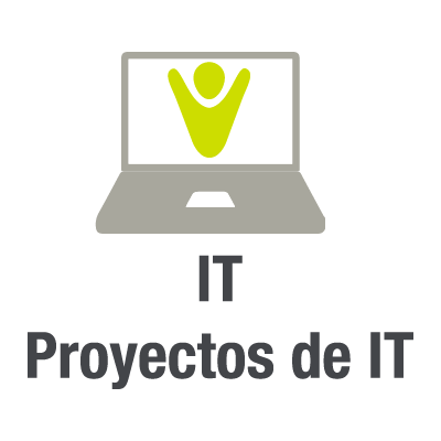 proyectos it